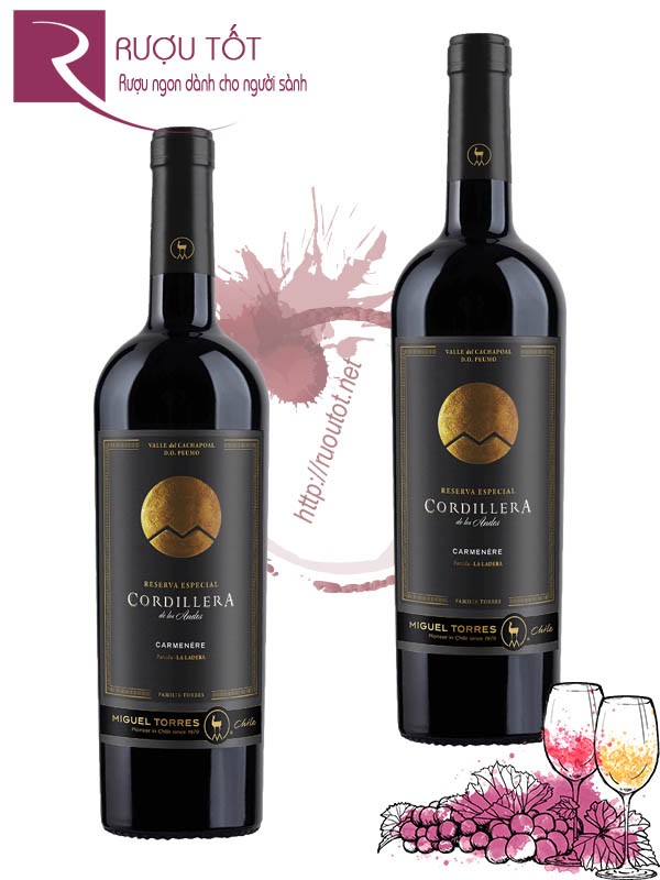 Vang Chile Cordillera Carmenere Miguel Torres Thượng hạng