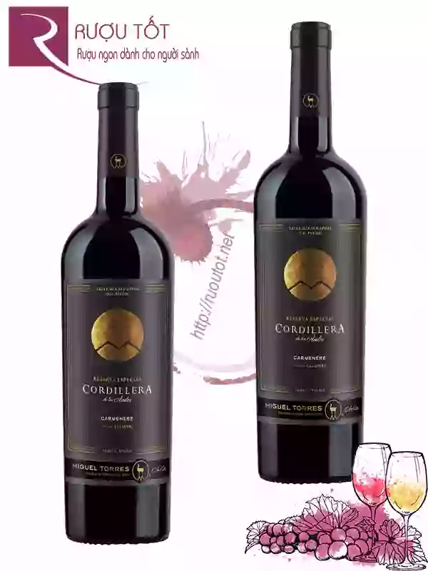 Vang Chile Cordillera Carmenere Miguel Torres Thượng hạng
