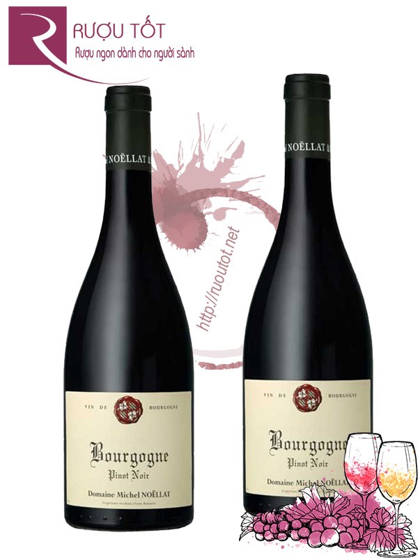 Rượu Vang Bourgogne Pinot Noir Domaine Michel Noellat