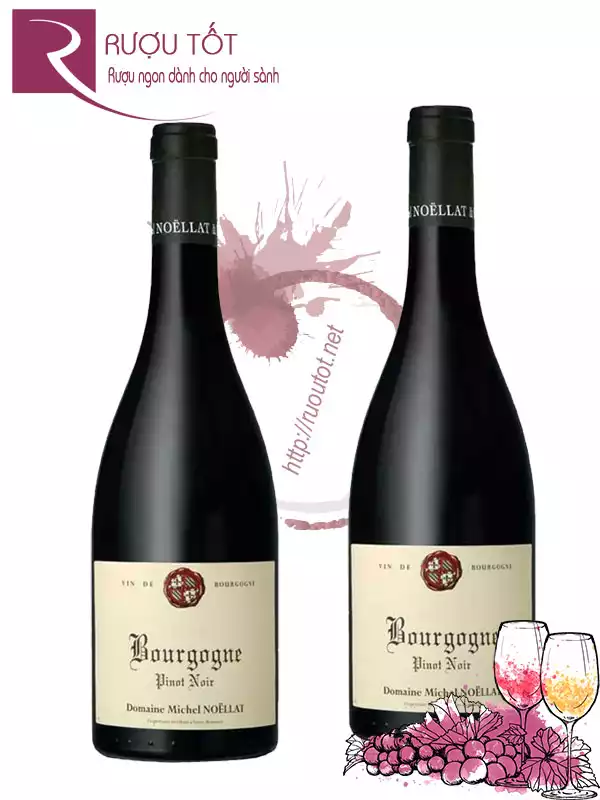 Rượu Vang Bourgogne Pinot Noir Domaine Michel Noellat