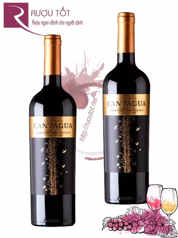 Rượu vang Cantagua Reserva Cabernet Sauvignon