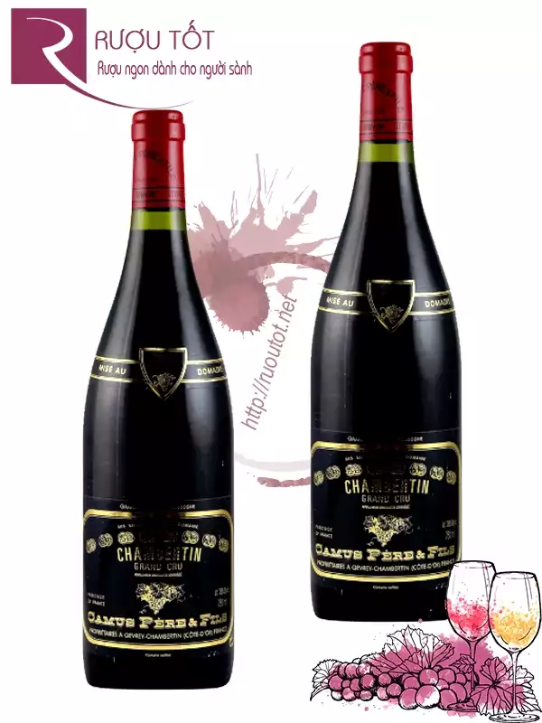 Rượu vang Chambertin Grand Cru Domaine Camus Pere et Fils
