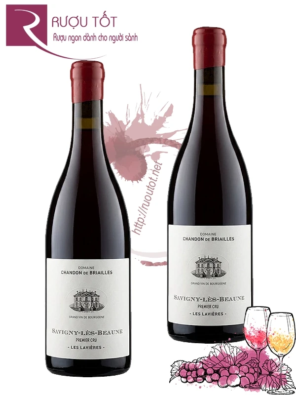 Vang Pháp Domaine Chandon de Briailles Savigny les Beaune Les Lavieres