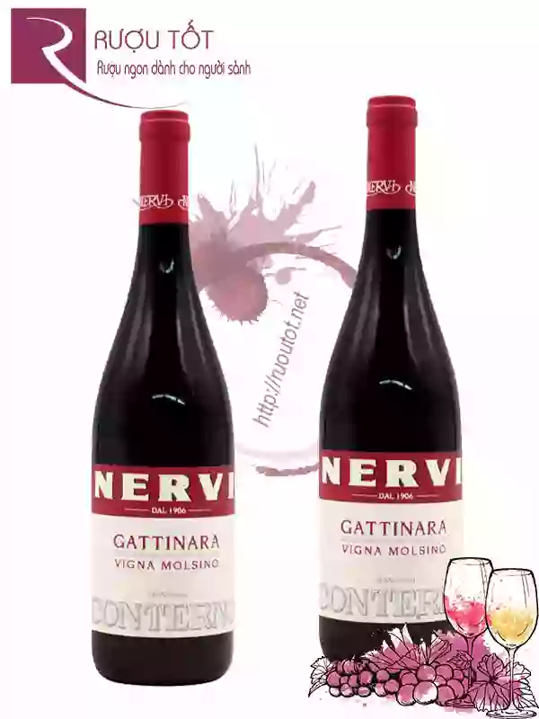 Rượu Vang Conterno Nervi Gattinara Vigna Molsino