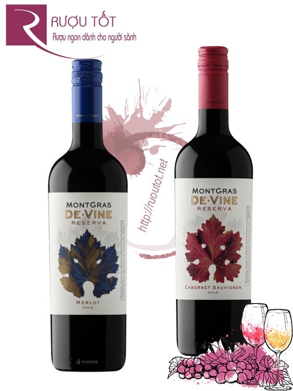 Rượu Vang Montgras De Vine Reserva Red