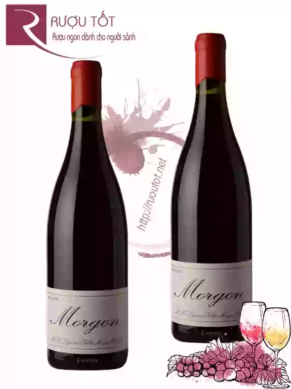 Rượu vang Domaine Marcel Lapierre Morgon Cao Cấp