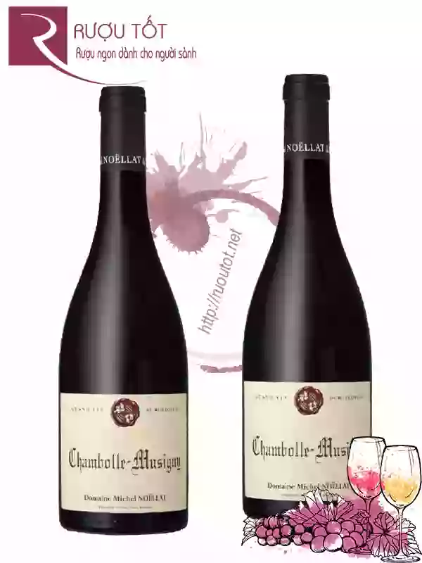 Rượu Vang Chambolle Musigny Domaine Michel Noellat