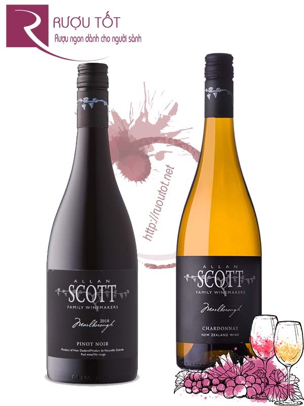 Rượu vang Allan Scott Pinot Noir - Chardonnay