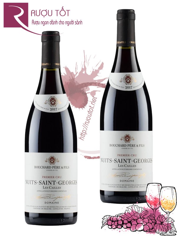 Rượu Vang Nuit Saint Georges Les Cailles Domaine