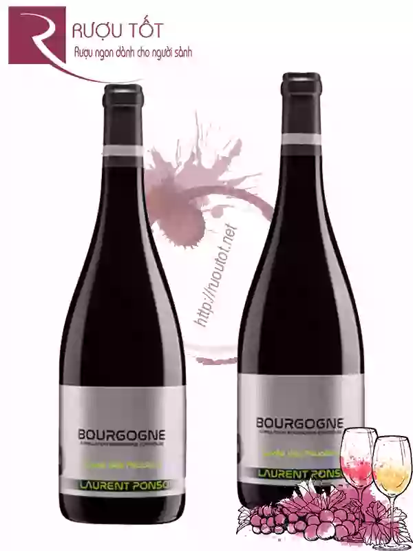 Rượu Vang Bourgogne Laurent Ponsot Cuvee Des Peupliers