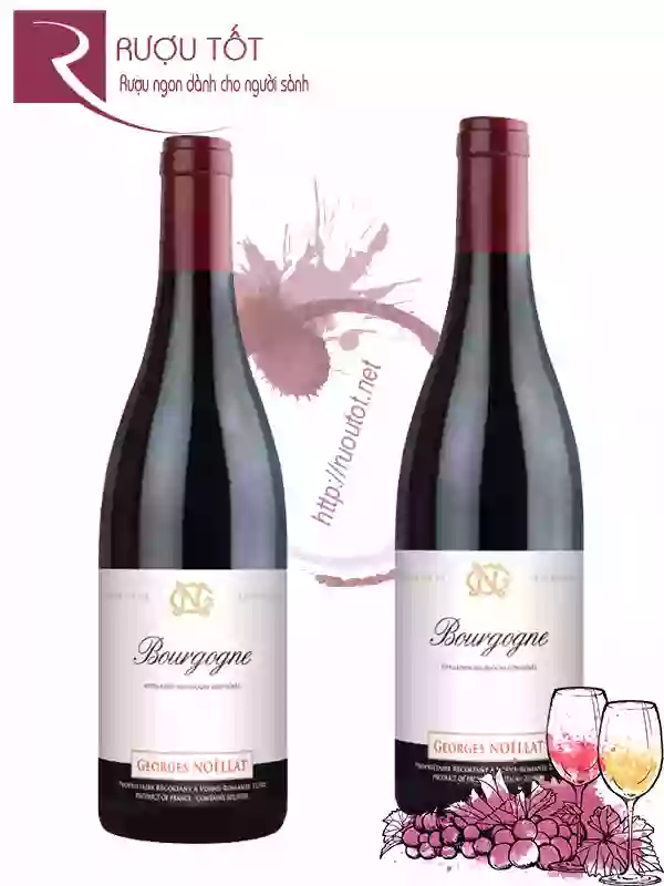 Rượu Vang Bourgogne Georges Noellat