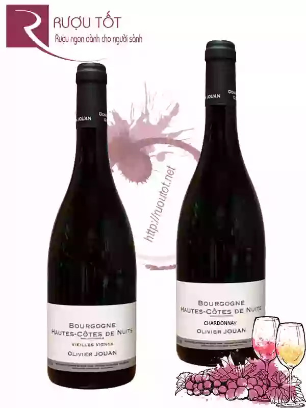 Rượu Vang Bourgogne Hautes-Cotes De Nuits Olivier Jouan (Red-White)
