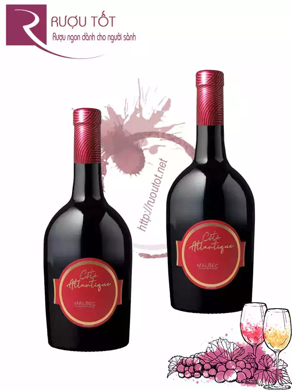 Rượu Vang Cote Atlantique Malbec