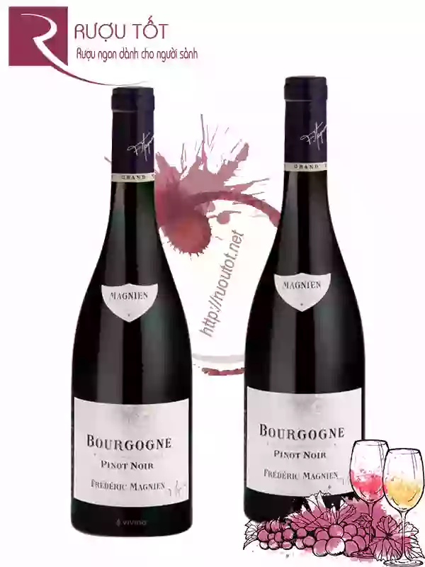 Vang Pháp Frederic Magnien Bourgogne Pinot Noir