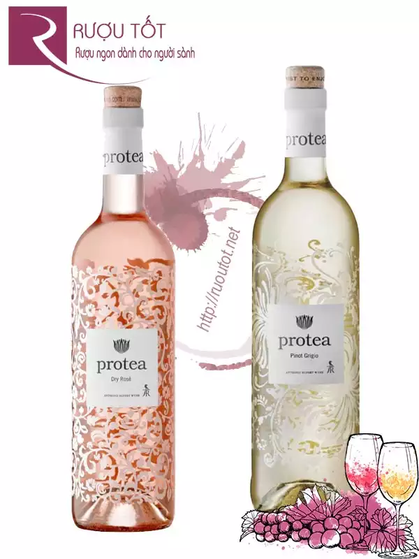 Rượu Vang Protea Cabernet Sauvignon-Chenin Blanc-Dry Rose