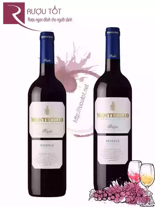 Rượu Vang Montecillo Rioja Reserva