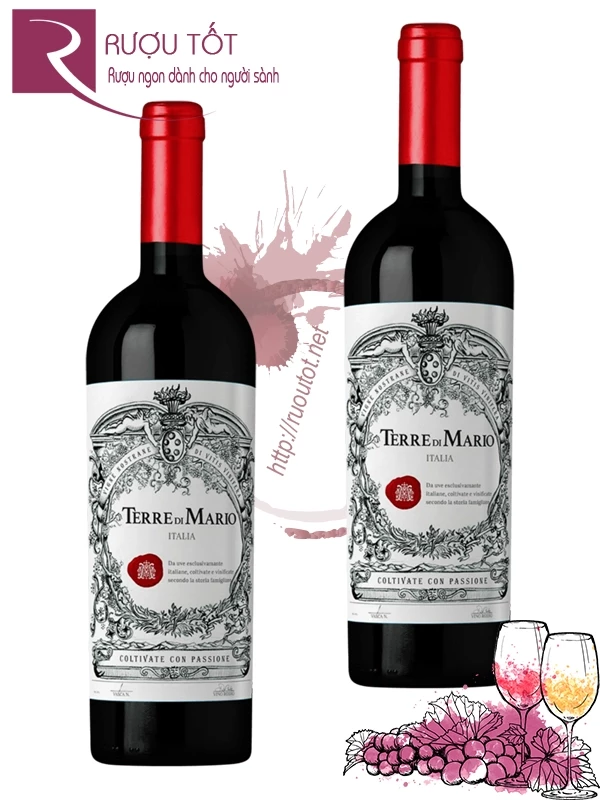 Rượu Vang Terre di Mario Vino Rosso 13%