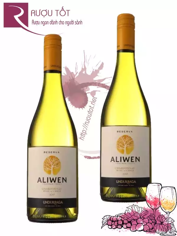 Vang Chile Aliwen Reserva Chardonnay