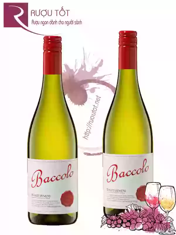 Rượu Vang Baccolo Bianco Veneto