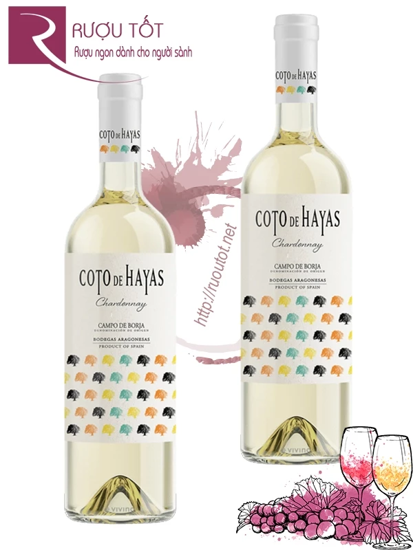 Vang Tây Ban Nha Coto de Hayas Blanco Chardonnay