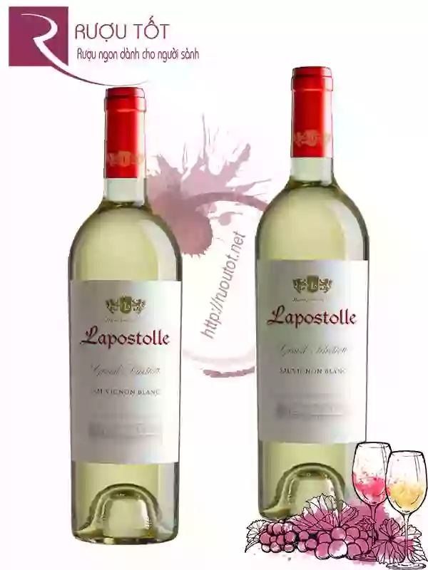 Vang Chile Lapostolle Sauvignon Blanc Thượng hạng