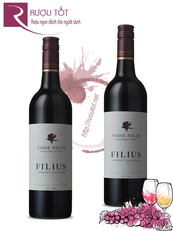 Rượu Vang Vasse Felix Cabernet Sauvignon Filius
