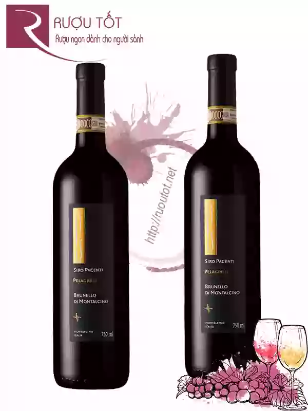 Rượu Vang Siro Pacenti  Pelagrilli Brunello di Montalcino