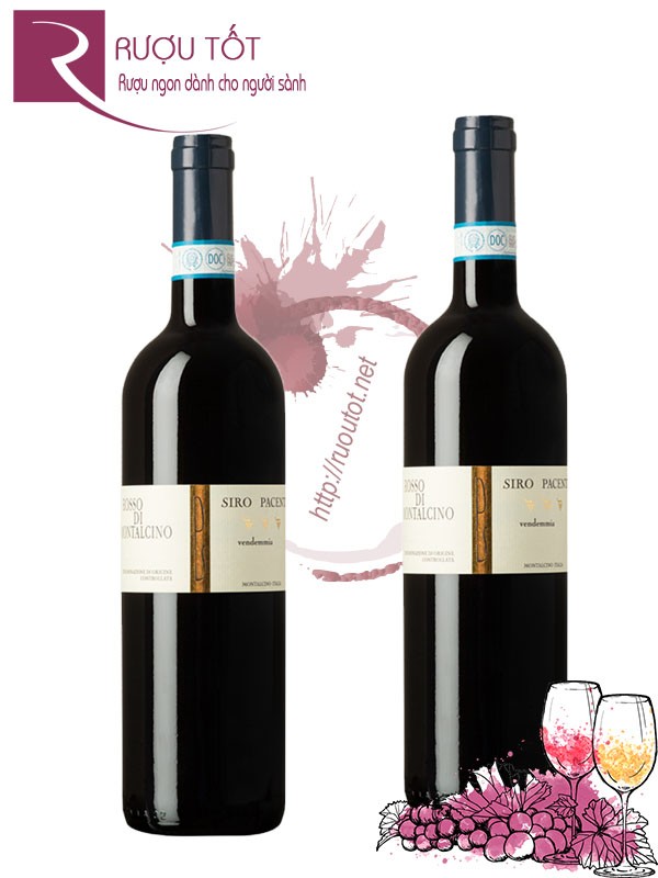 Rượu Vang Rosso di Montalcino Siro Pacenti