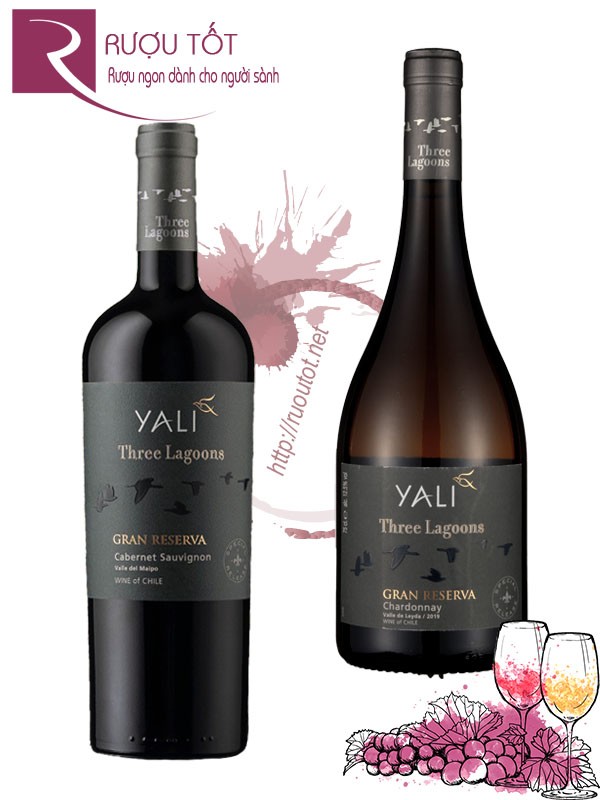 Rượu Vang Yali Gran Reserva Cabernet Sauvignon Chardonnay