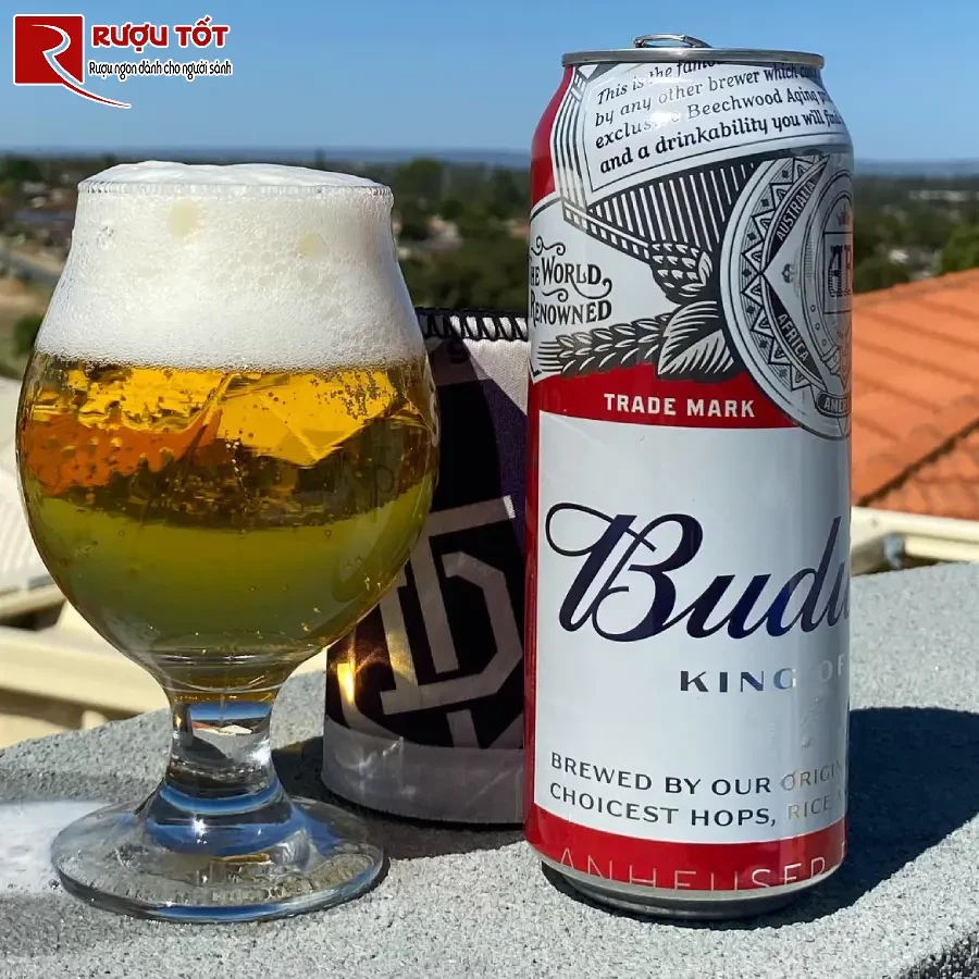 bia budweiser 500ml gia re