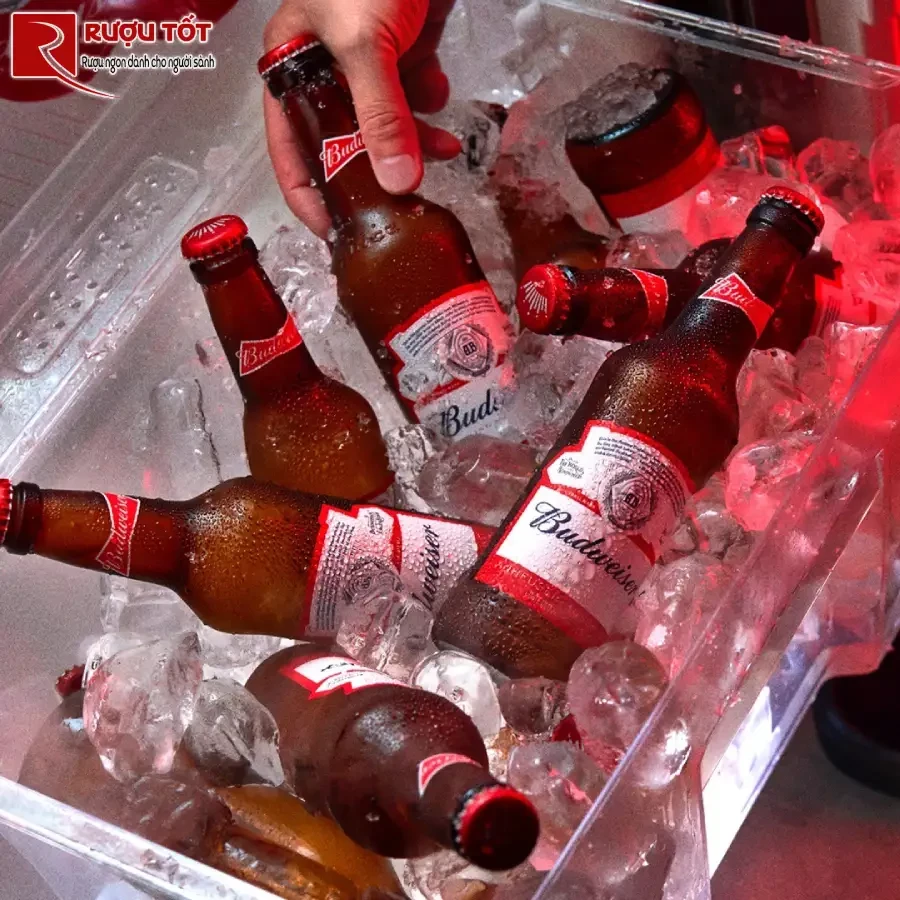 Bia Budweiser Aluminium 355ml Chat luong