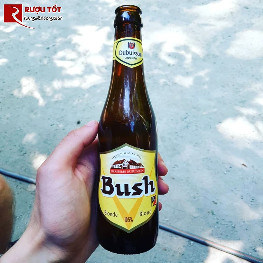 bia bush blond 10,5% 330ml nhap khau chinh hang bi