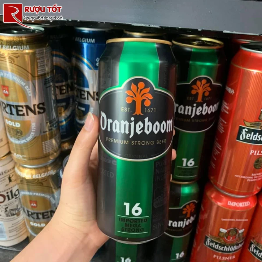 bia oranjeboom 16 hao hang