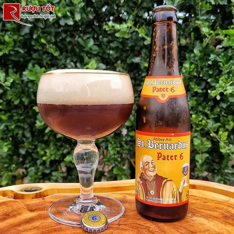 bia st bernardus 6 gia tot