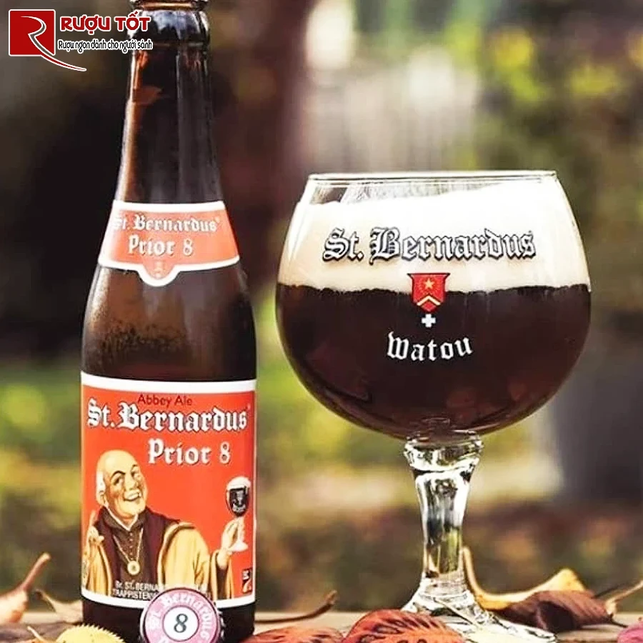 bia st bernardus 8 gia re