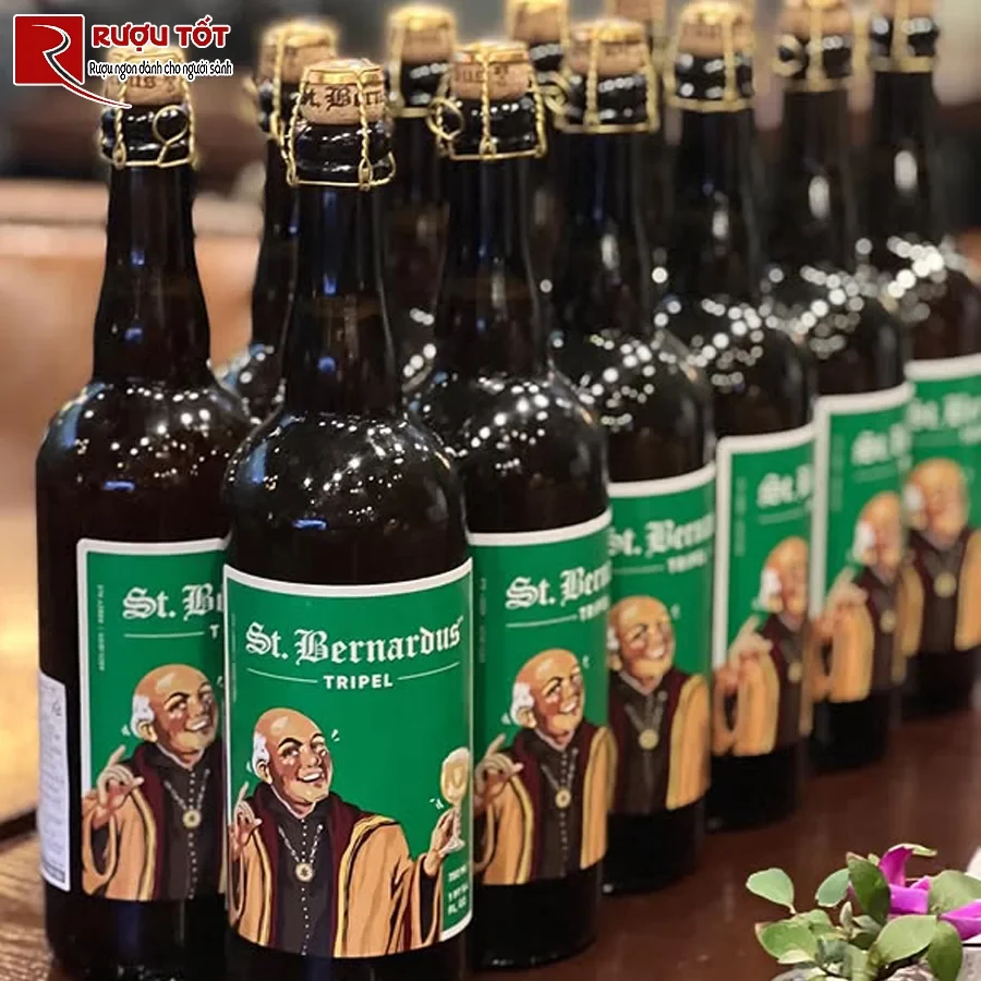 bia st bernardus chat luong