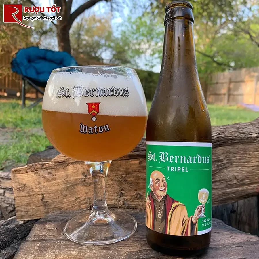 bia st bernardus tripel gia re