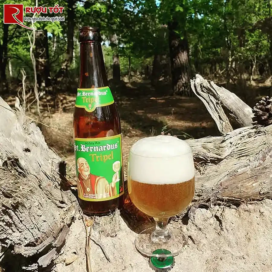 bia st bernardus tripel review