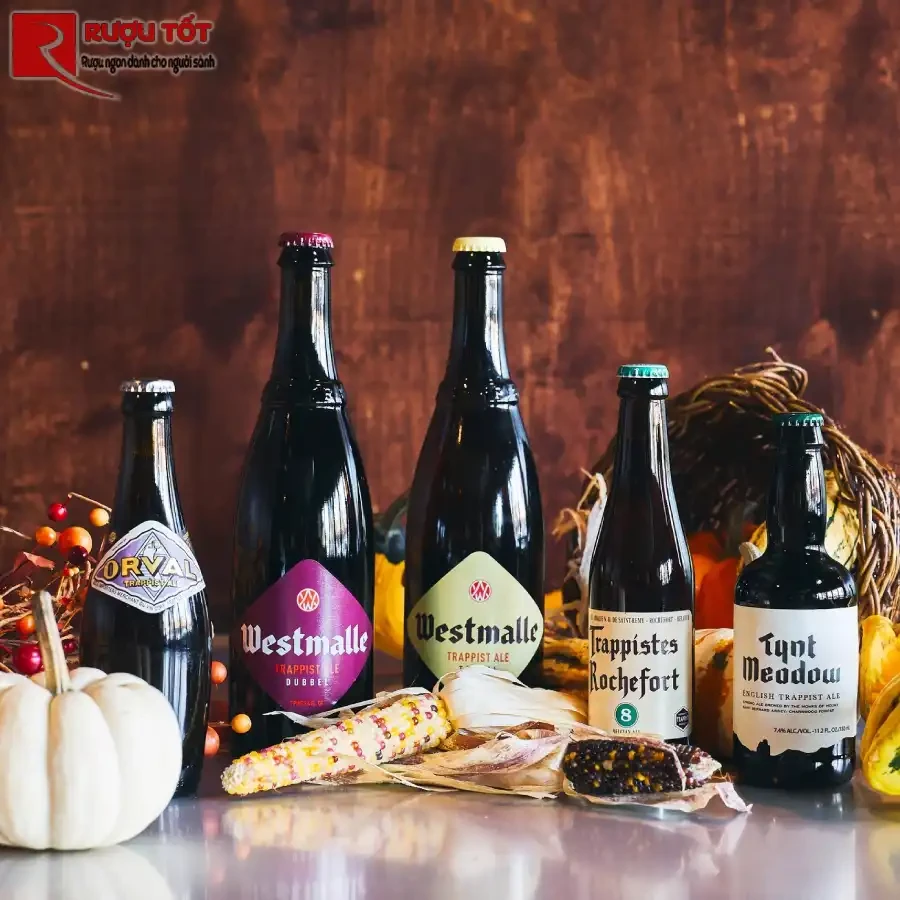 bia thầy tu của bỉ