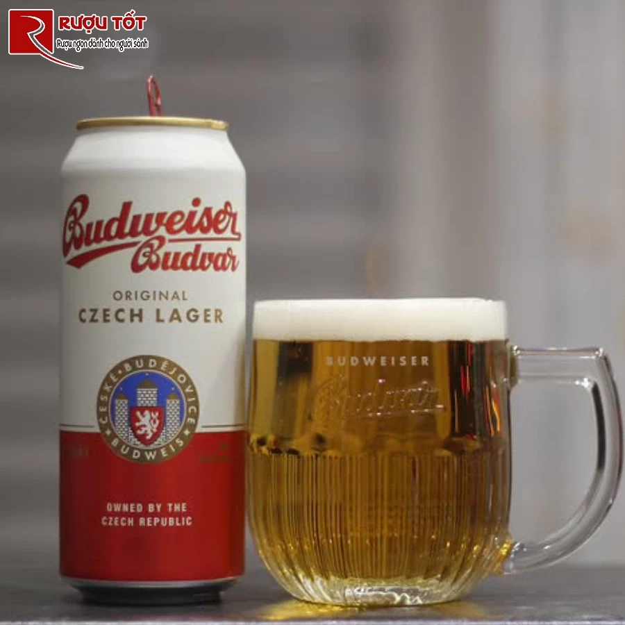 bia tiep budweiser