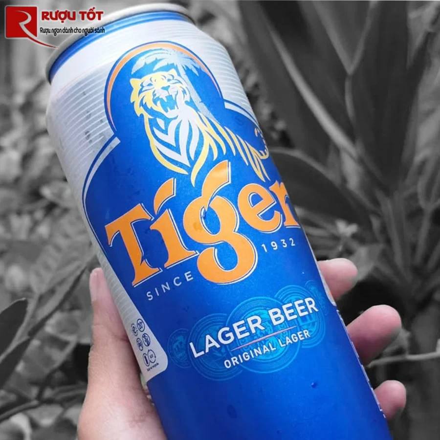 bia tiger ha lan 500m 5%