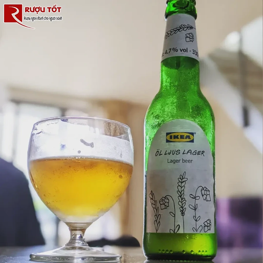 lager beer