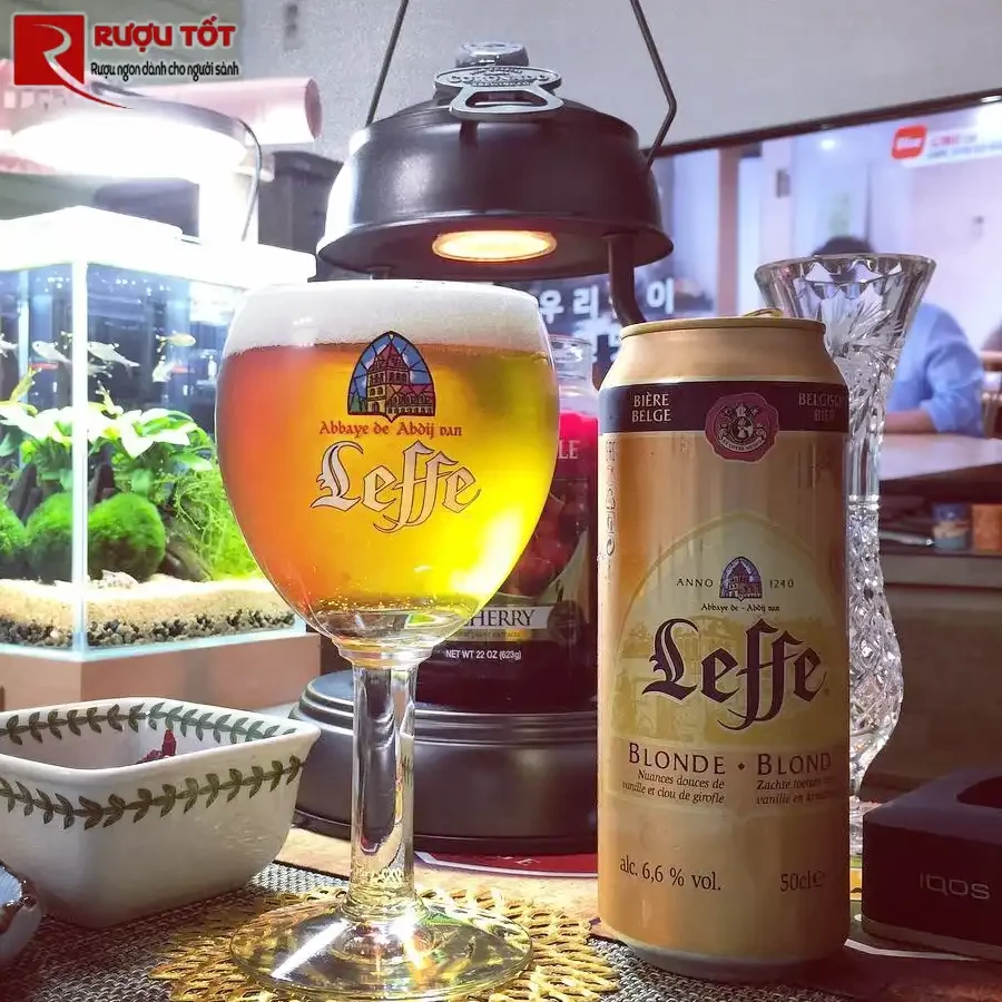 leffe vàng 500ml