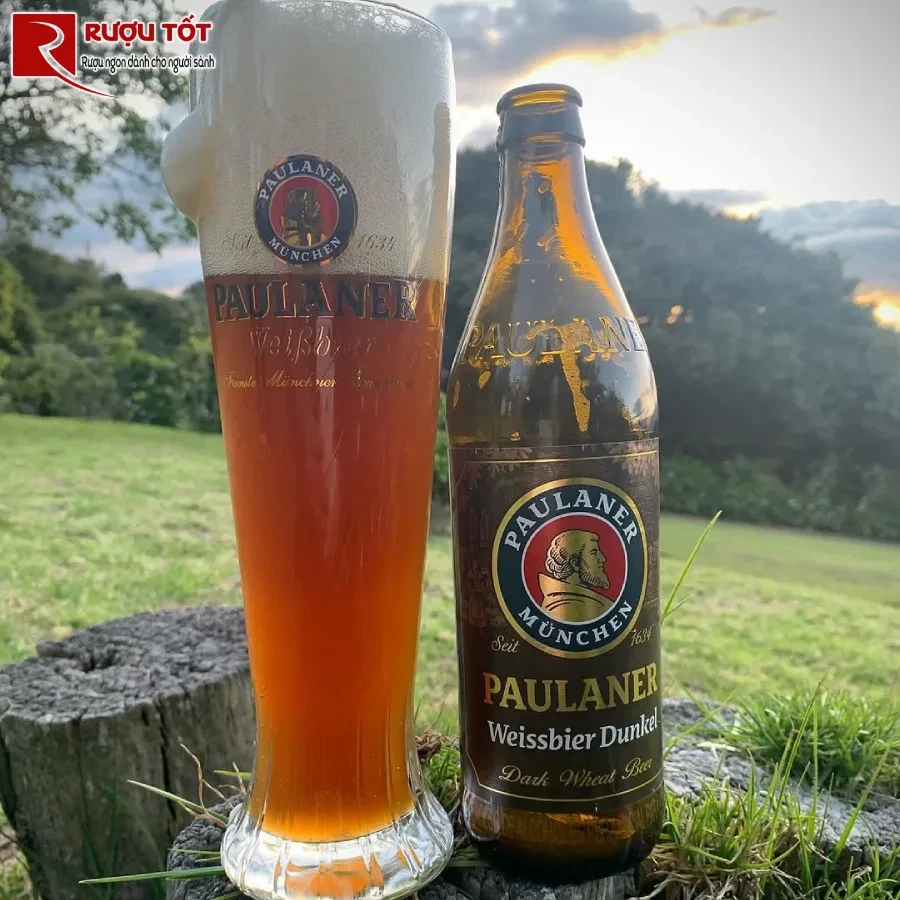 Paulaner Dunkel Uy Tin