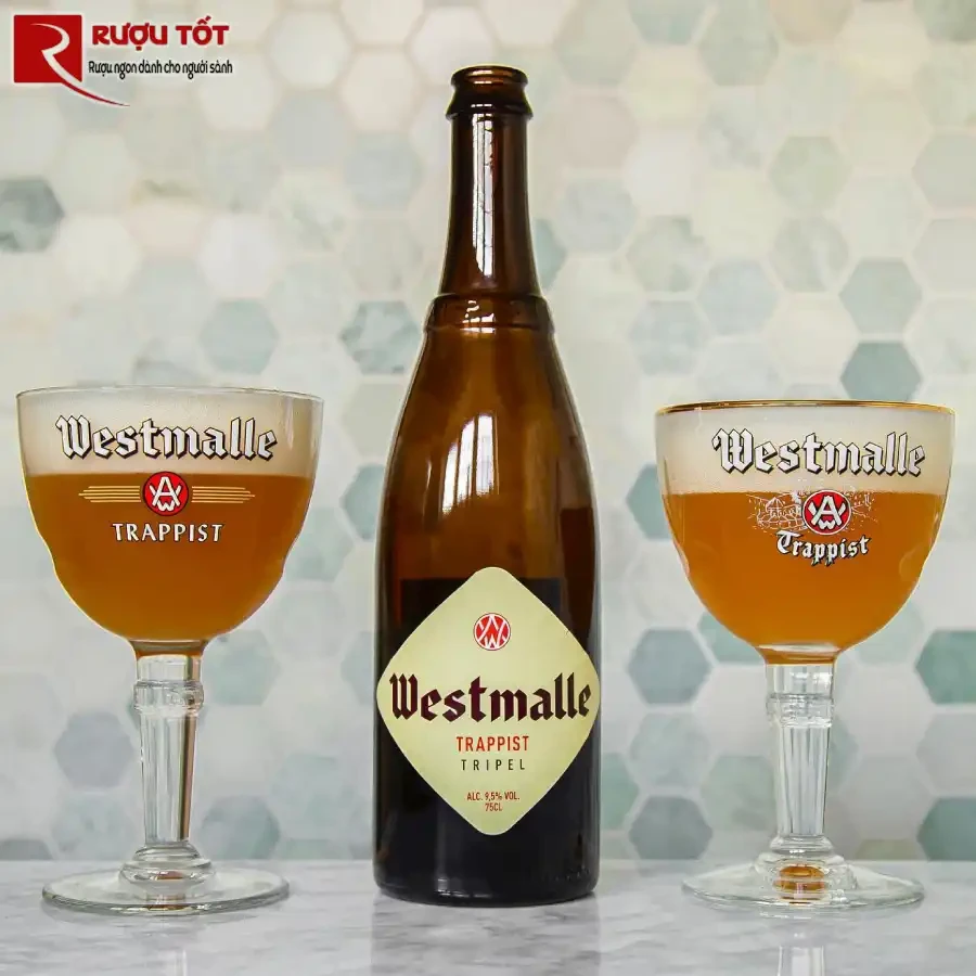 westmalle trappist tripel