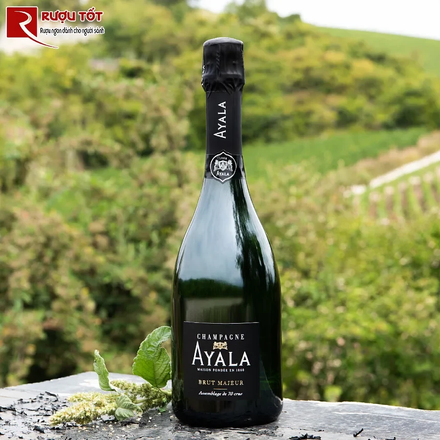 ruou champagne ayala brut majeur 12% 750ml cao cap phap