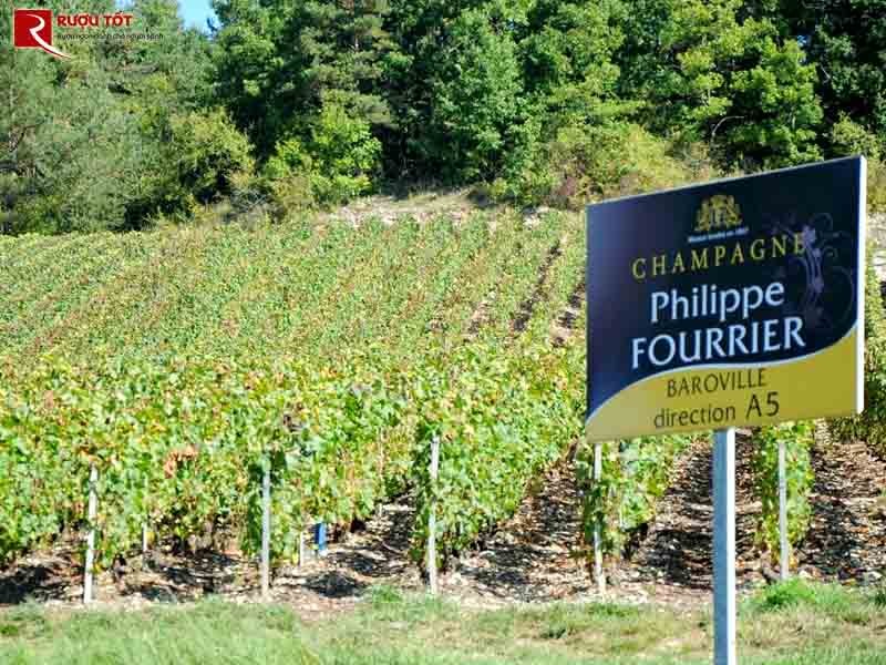 vang-trang-philippe-fourrier