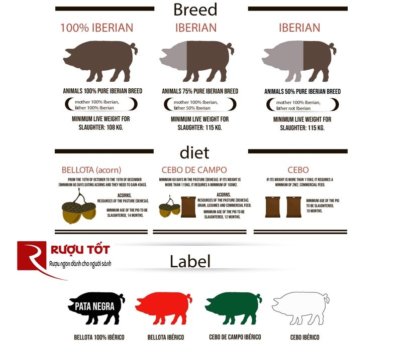 Heo Bellota nhập khẩu chính hãng