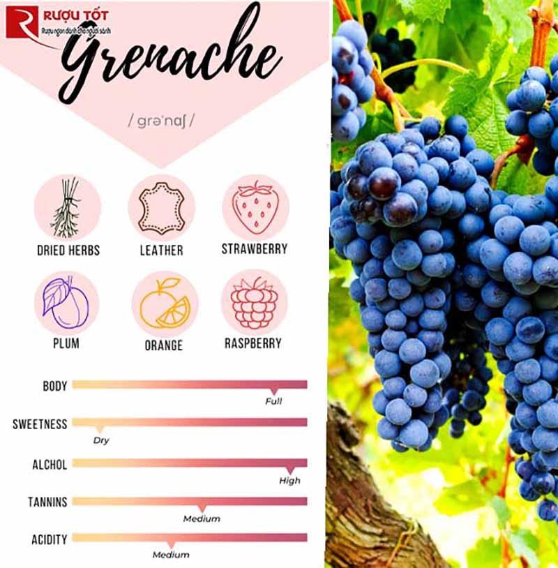 Hương vị Grenache