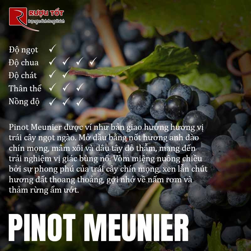 pinot meunier